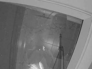 voyeurcam casa salsa bathroom 12